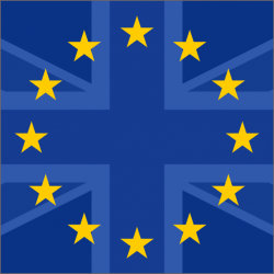 The Rejoin EU party